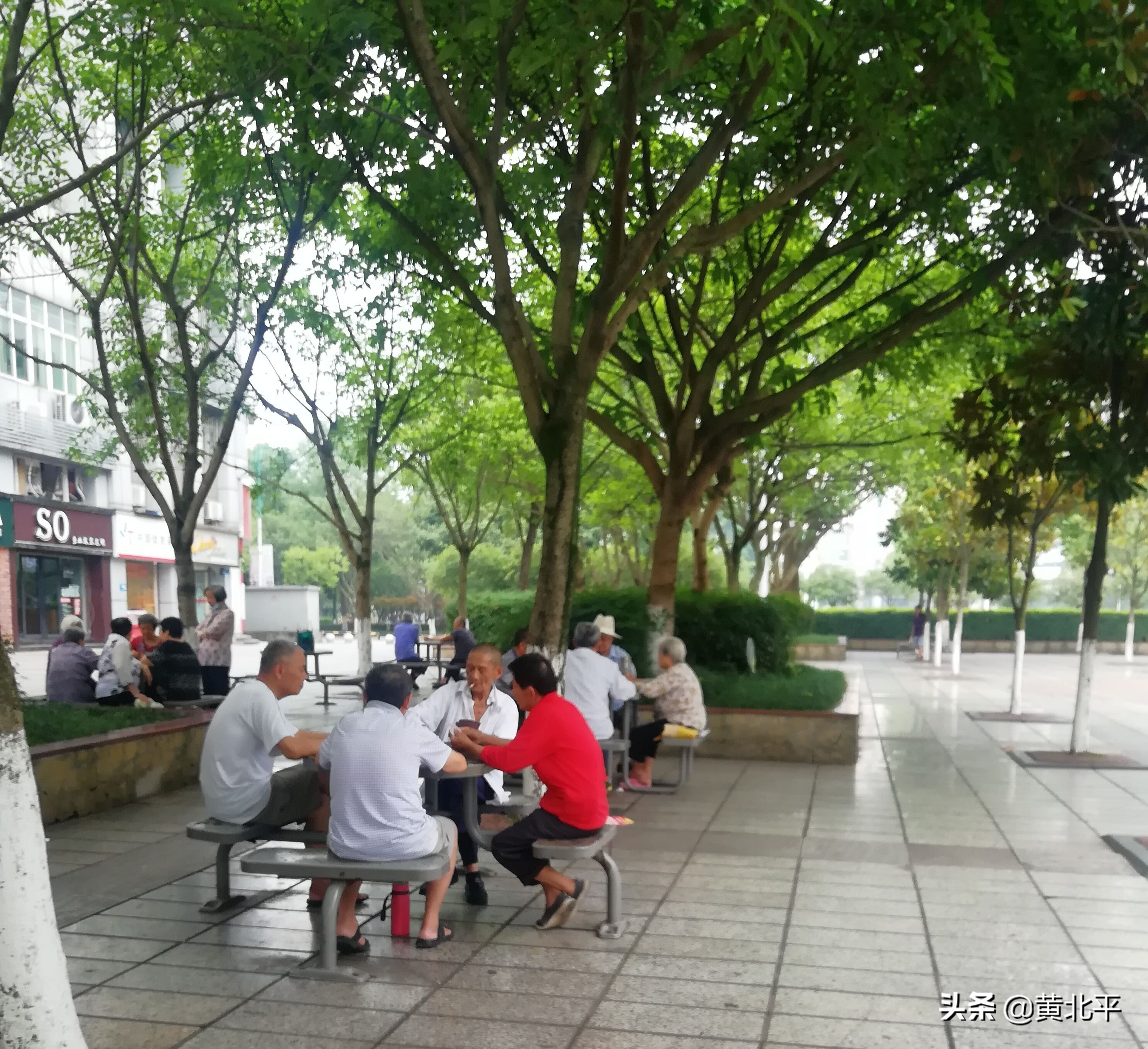 重庆市潼南区视频,重庆市潼南区房价