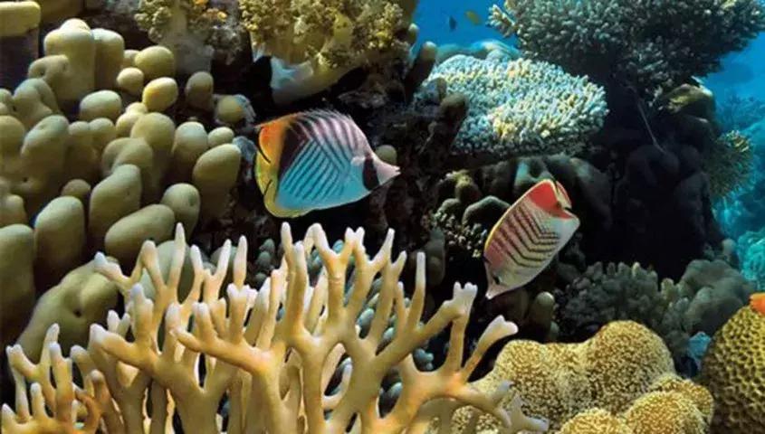 c位出道maria,马尔代夫南丽世岛和北丽世岛