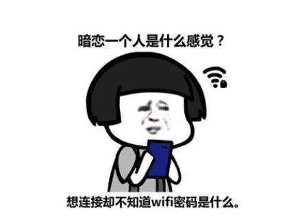 如何用微信知道wifi密码,如何用微信小程序查看wifi密码