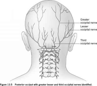 后脑勺一下一下的痛和颈椎有关系吗？枕神经痛的原因、特点和治疗