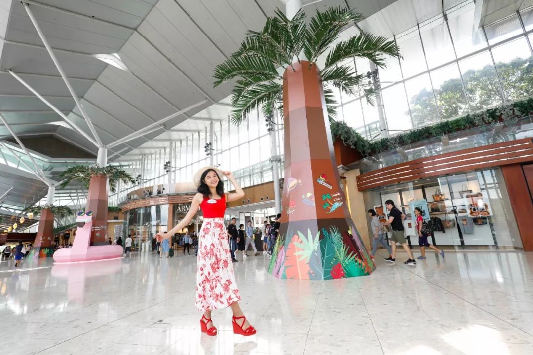 抓住寒暑假的尾巴,抓住假期的尾巴吃喝玩乐