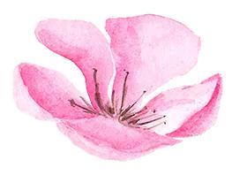 母亲节礼品推荐大全,母亲节送礼好物推荐