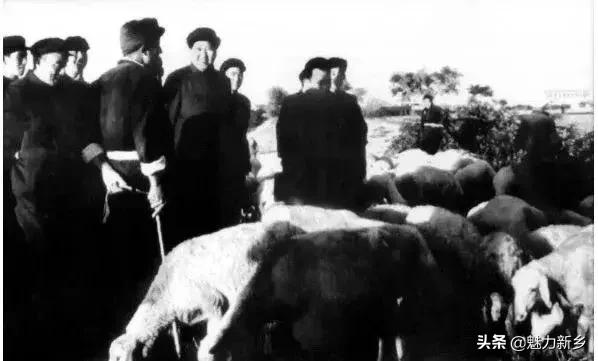 新乡故事完整版,新乡故事