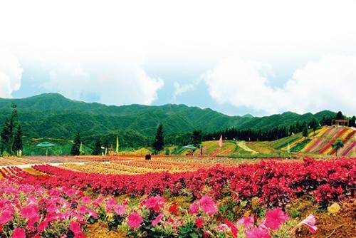春天重庆区县景点,重庆网红景点区县