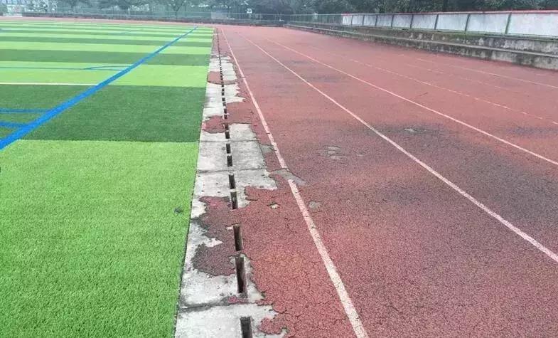 体育馆内的超绝颜值,成都双流体育场