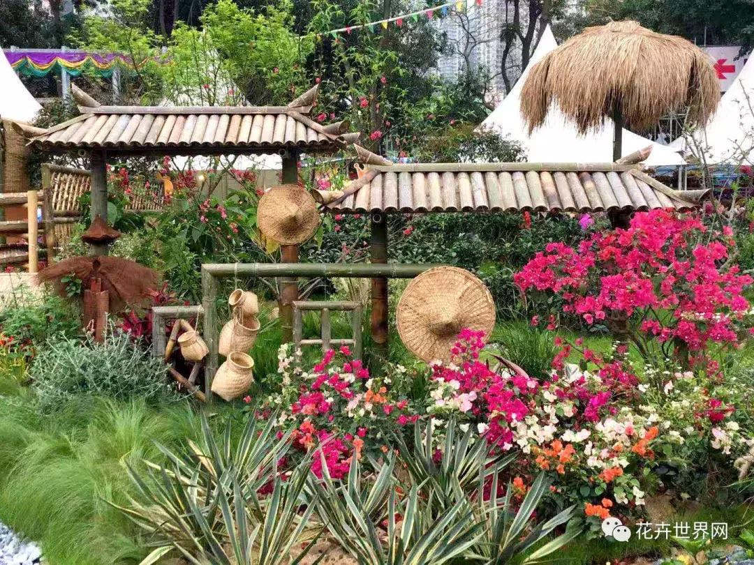 香港花卉艺术展,共赴盛会活动