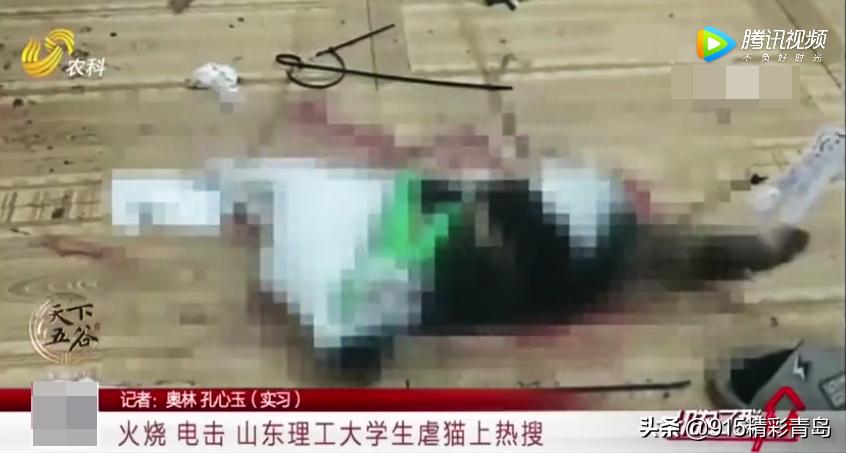 虐猫人士杀死中国留学生案件,虐猫者杀害中国留学生