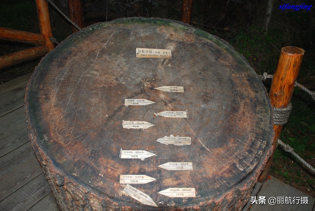 成都到东三省自驾游最佳路线,成都至东北自驾游