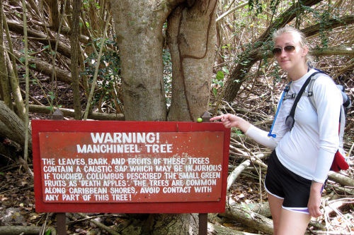 违反进化规则？这树从果实到树干都是致命毒素，不让动物传播种子