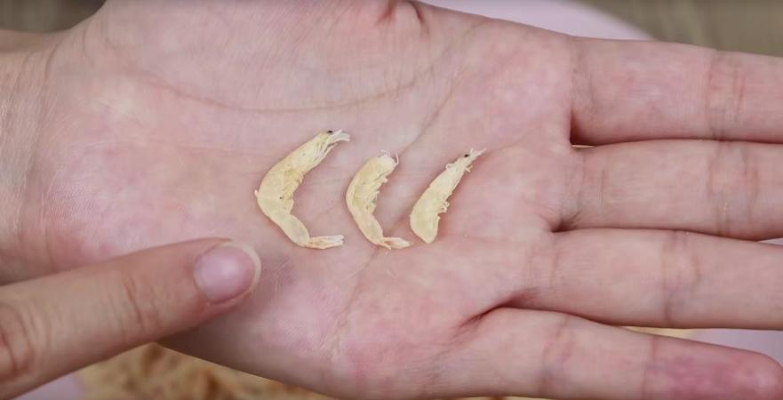 家里喜欢买虾米吃吗？热心渔民偷偷告诉我，好坏这样分，涨知识了