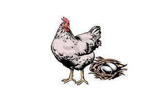 从喇叭裤港台货到抖音带货，看新中国70年消费变迁