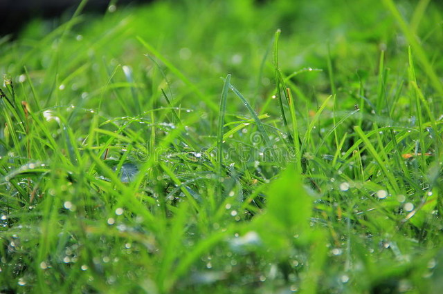 幽了个笛笛,幽了个默