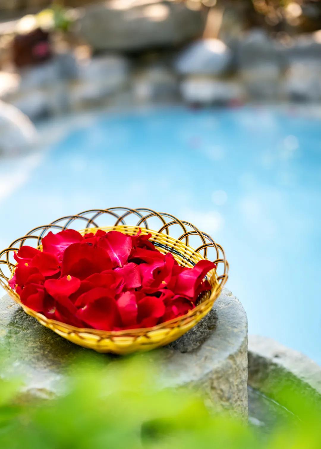 浜戝崡鑵惧啿娲绘硥鍘熸恫,鑵惧啿娓╂硥鍘熸恫