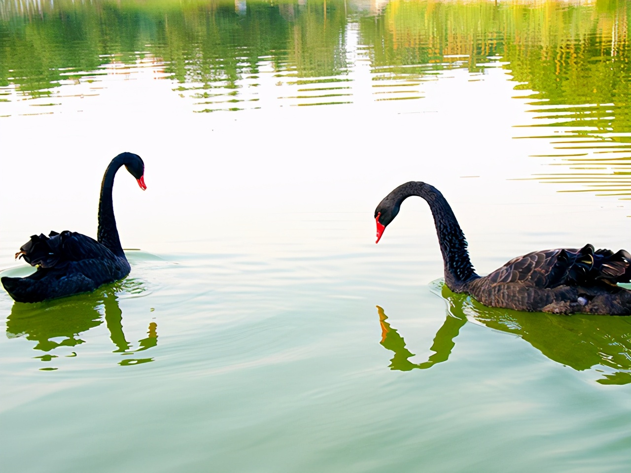 河南民办高校（本科）大起底：野花儿香，能采不？
