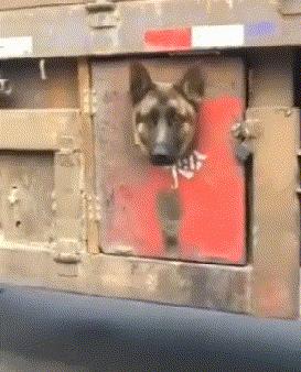 搞笑时刻心情变好,搞笑时刻大家开心就好