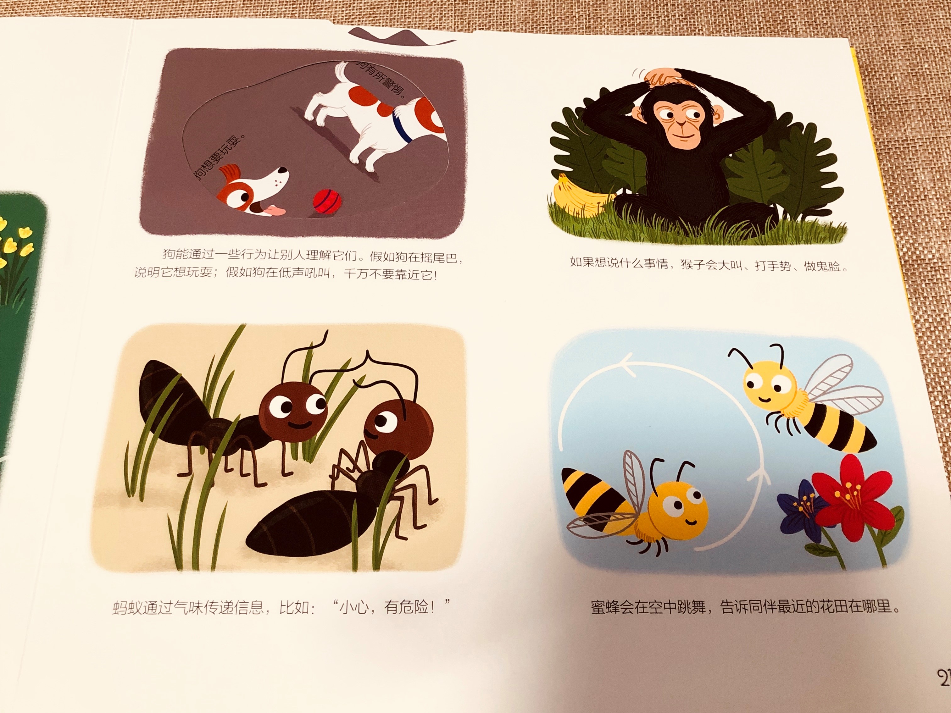 难怪孩子总是不爱读书，原来普通的儿童绘本早就过时了！