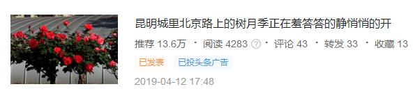 自媒体第一次发文,自媒体最后一次发文