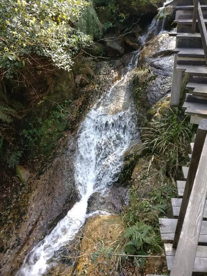 上海自驾舟山桃花岛游路线推荐,从上海去桃花岛如何安排行程