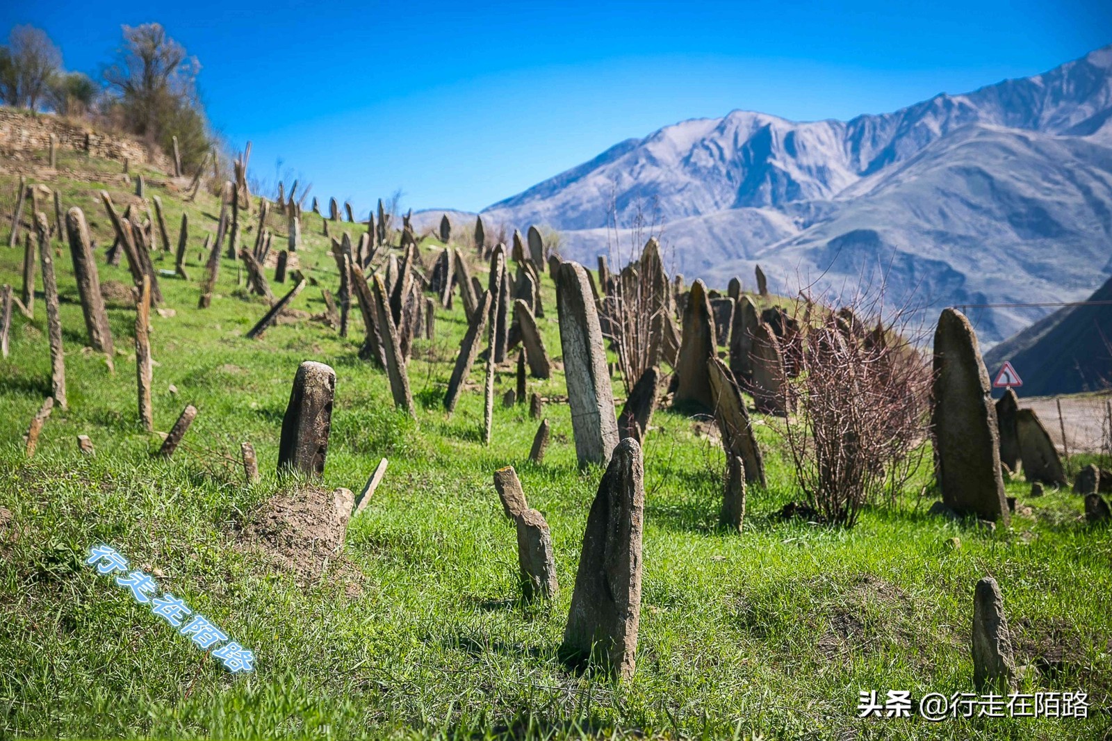 车臣战后重建20年,车臣战争战后奖励