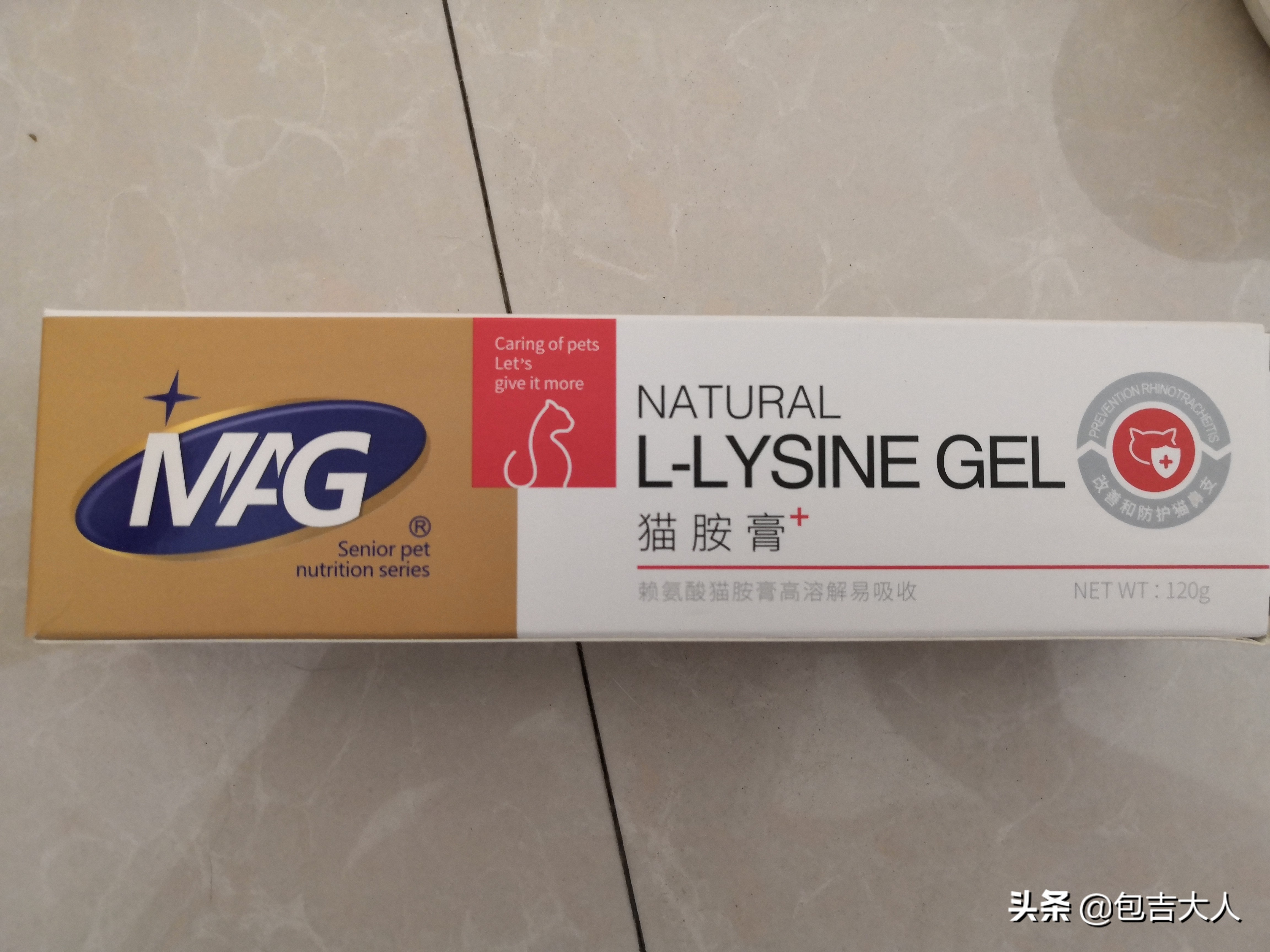 万字长文,分享自己养猫的真实经验,只愿每一只毛孩都能获得善待