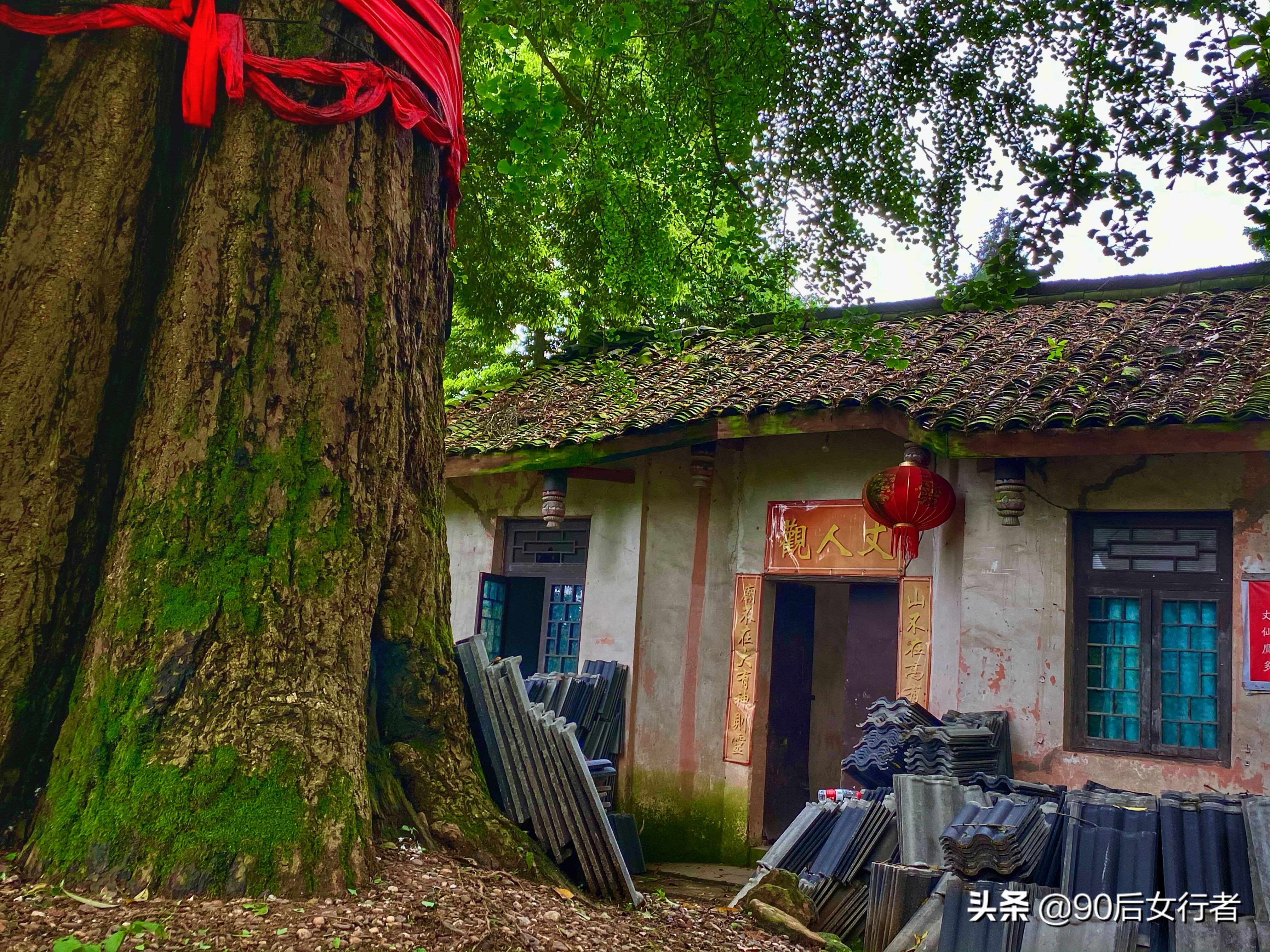 探寻青城山,探秘青城山神仙洞怎么走