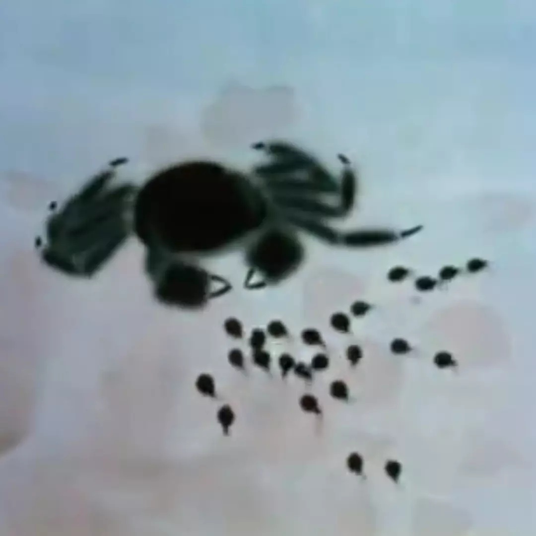 上海美术电影制片厂有哪些电影,上海美术电影制片厂近年作品