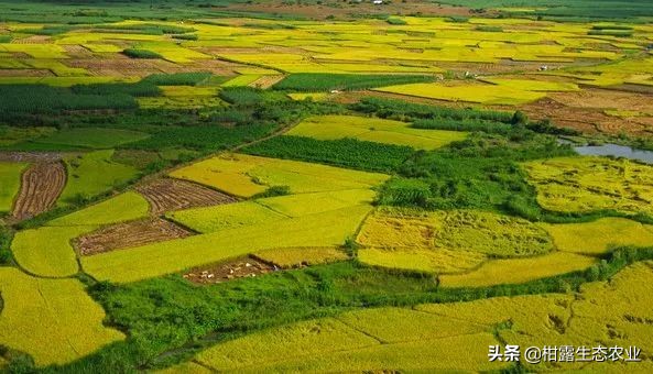 家里好几个孩子农村地怎么分,家里有一个孩子要分户吗