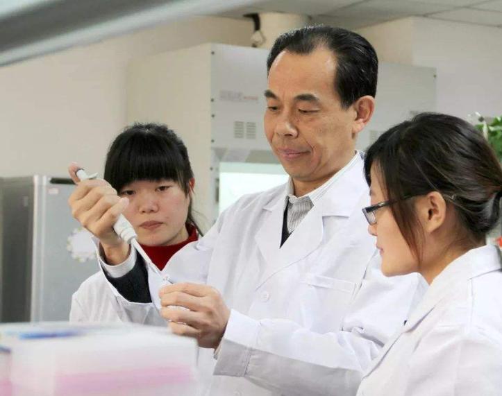 考上“985”的大学生，毕业后好就业，国企事业单位占多数