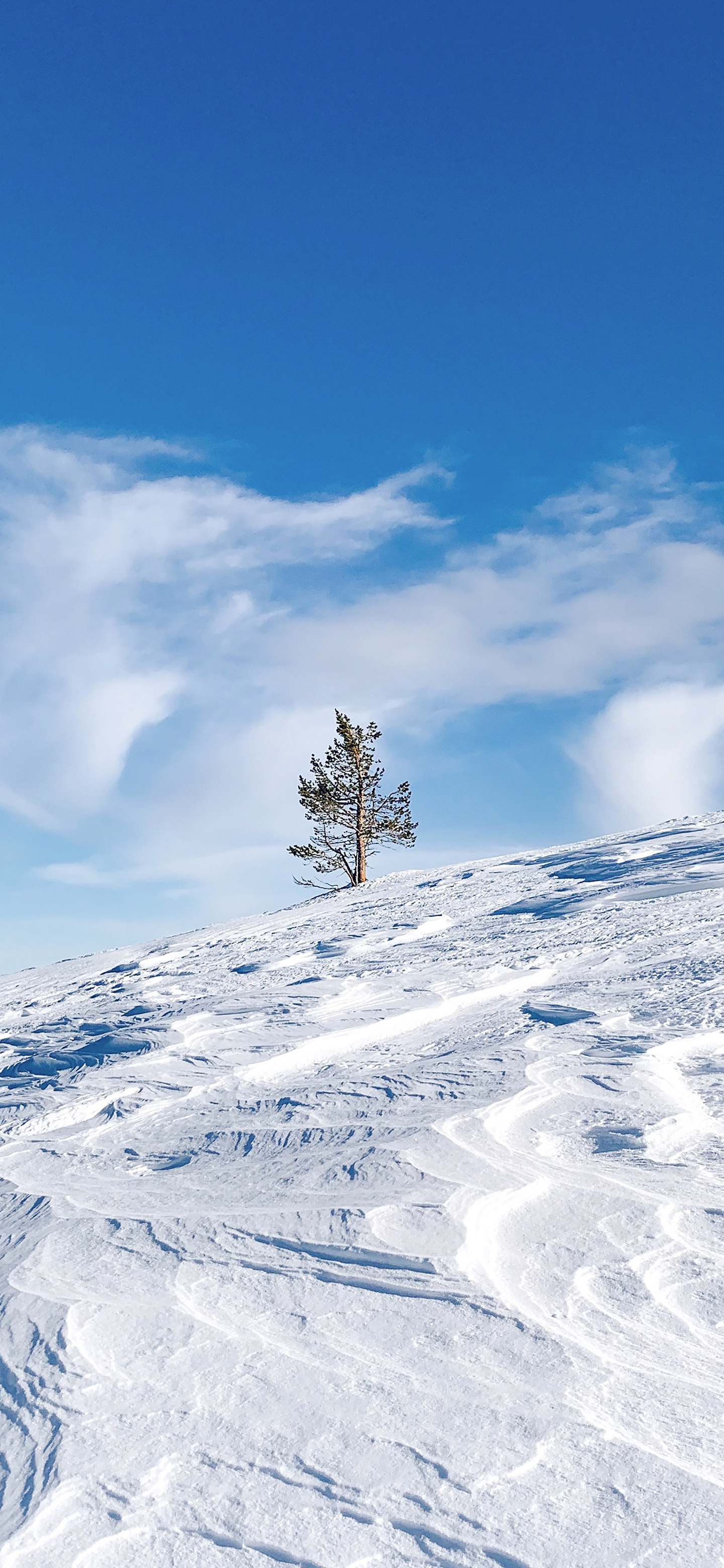 夏天风景竖屏壁纸,夏天有小路风景壁纸