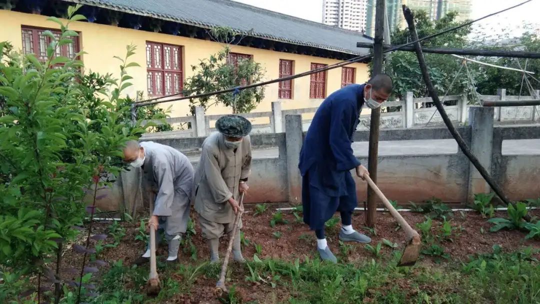 抢抓农时开展农业生产,农民纷纷抢抓春耕生产有利时机