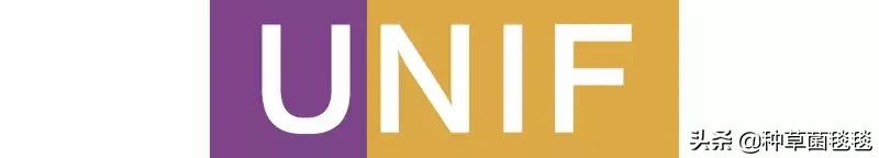 拒绝撞衫盘点那些可能绝版的服饰,拒绝撞衫店铺推荐