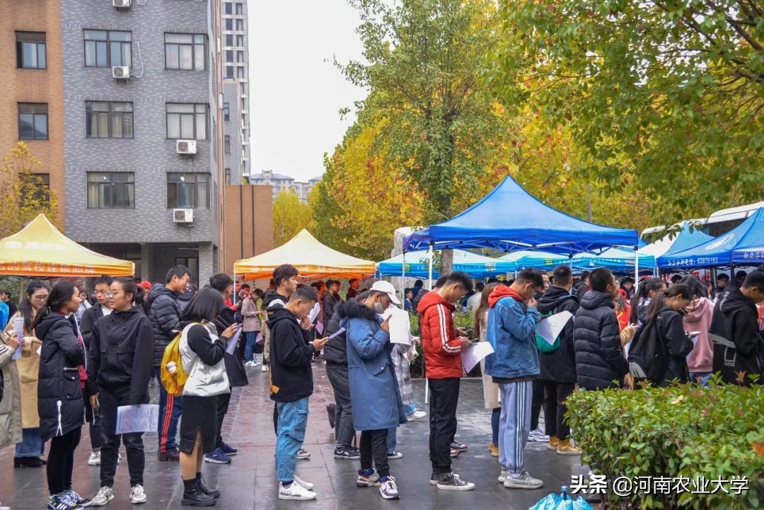 大爱丨228150毫升！农大人的热血让这个冬日温暖如春