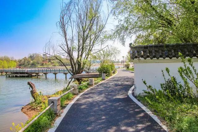 疫情过后一起来踏青吧,疫情过后一起去山花浪漫处