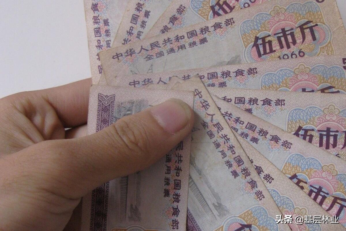 承包林地合同到期林权证还有效吗,新老林权证以哪个为准