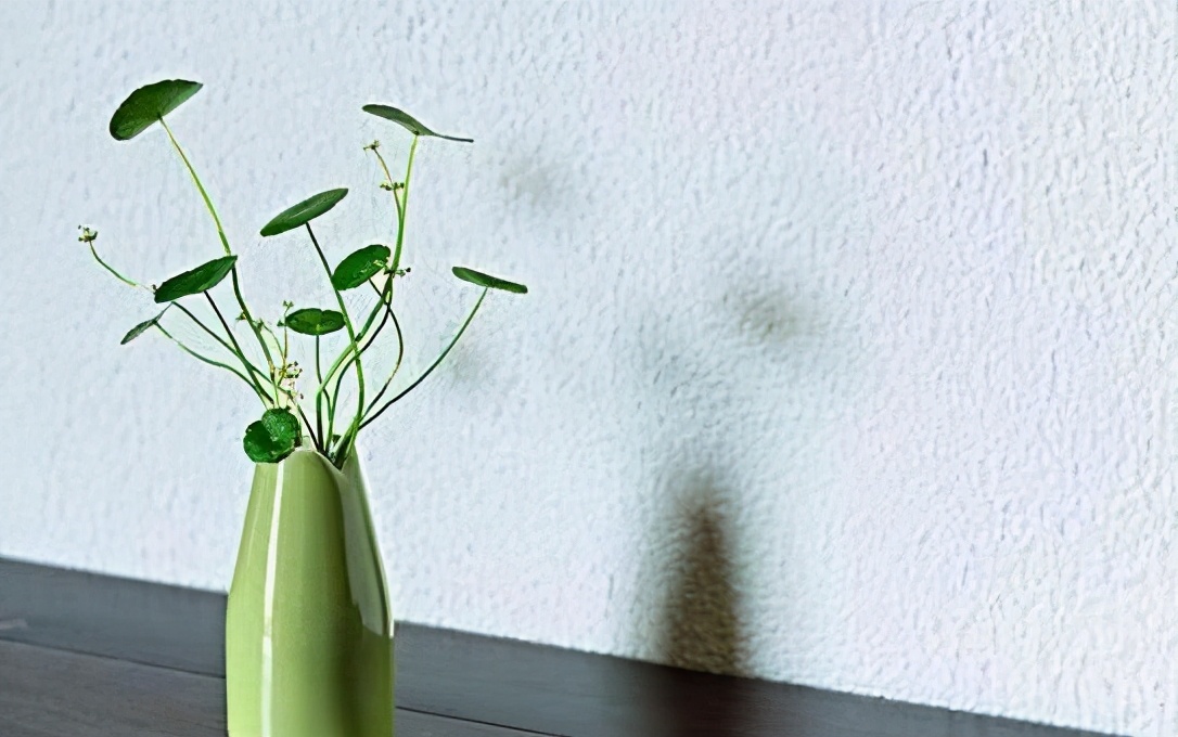 自律的人都戒掉九件事,自律的人必须戒掉哪些事