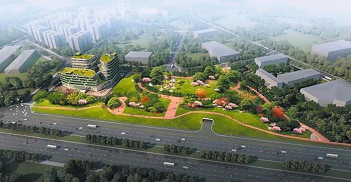 成都幸福蔓延,成都市武侯区2024年