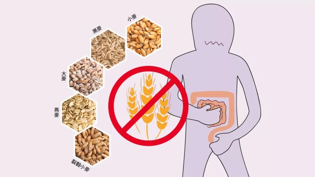 哪些问题属于内分泌失调,肠道菌群失调与甲状腺疾病有关