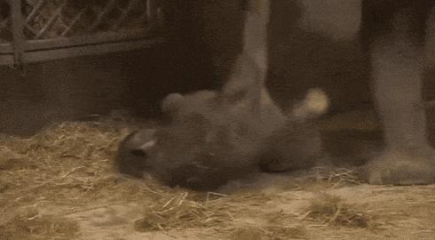 他们被杀之后，依然在爱你