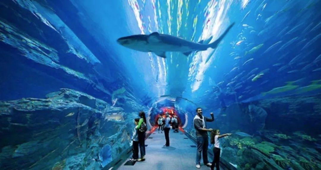 迪拜自由行攻略及小tips,去迪拜旅游前的准备攻略