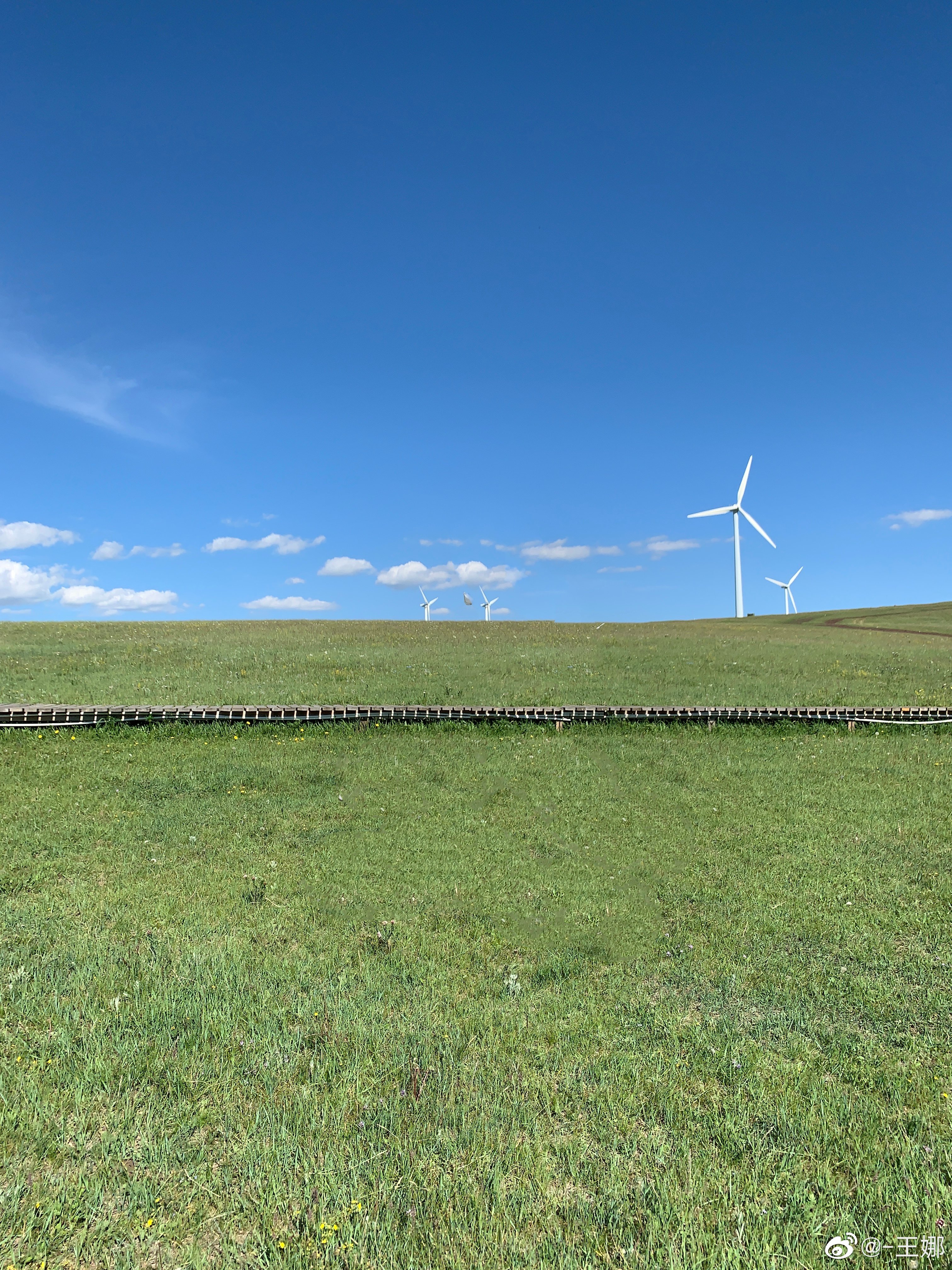 内蒙呼和浩特市内游,五一内蒙古呼和浩特及周边游