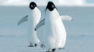 2019全疆青少年拳击锦标赛视频,2021年新疆青少年拳击比赛69公斤