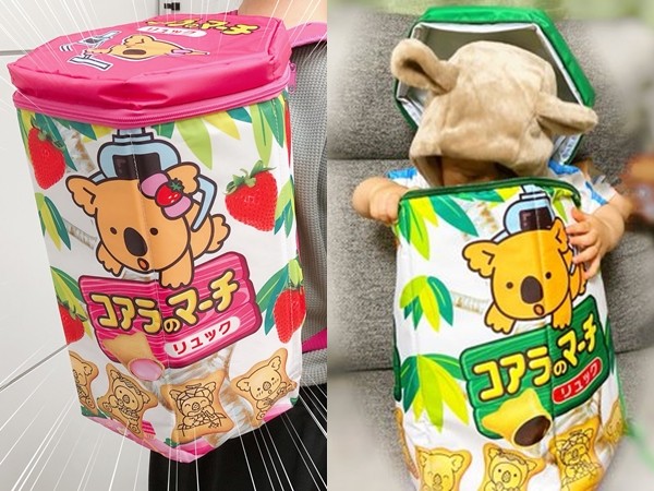 乐天小熊饼干有没有卡片,乐天小熊饼干巧克力味夹心