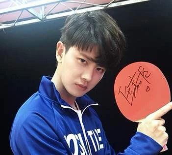 任嘉伦乒乓球水平惊呆张继科,被耽误的乒乓球选手任嘉伦