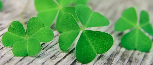 新手宝妈怎么突破一千粉丝,宝妈新手小白如何粉丝破万