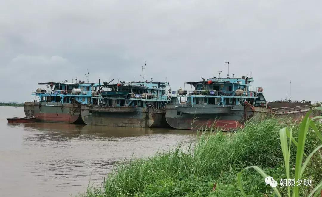 新会石板沙最好的地方,江门石板沙村旅游介绍