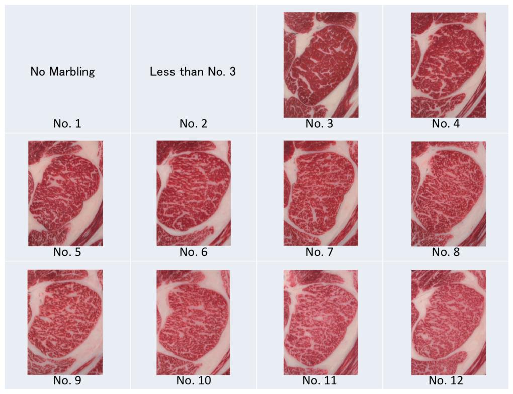 牛排等级及区分方式,常见的4种牛排分类介绍