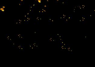 理财干货入门教程,理财知识干货