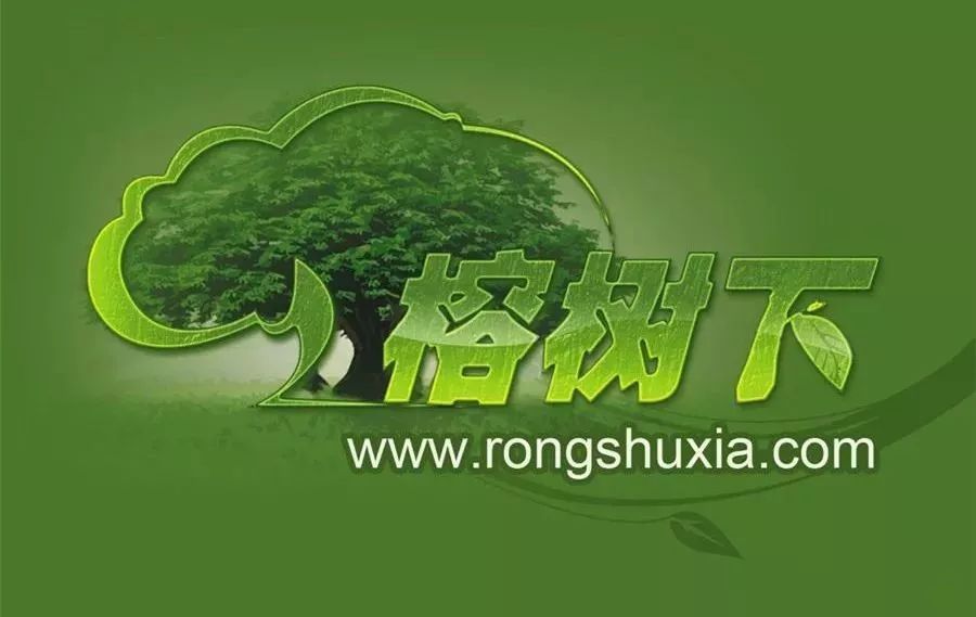 网络文学二十年,网络文学20年发展史