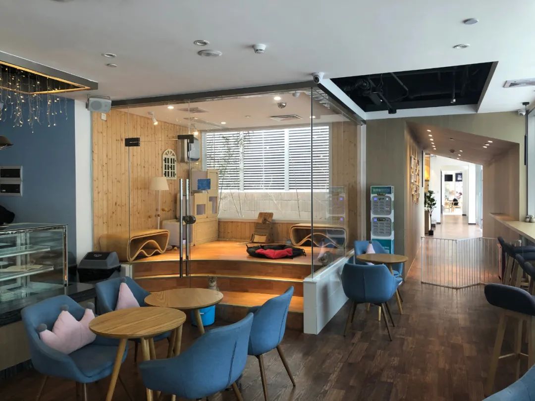 欢迎同行入内，这是一家为宠物店而开的宠物