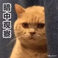 埃及艳后带什么宝物,埃及艳后的守护使